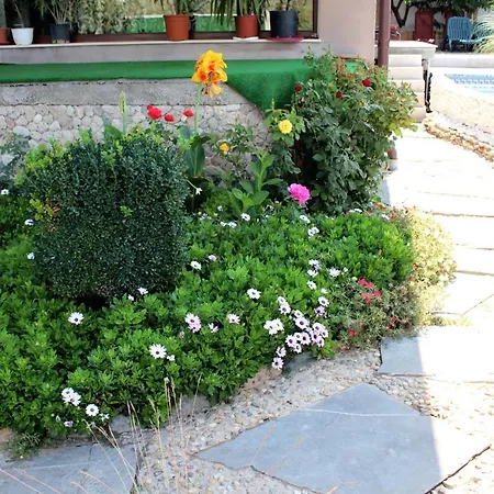 Pensiunea Vreau Un Dan 3*