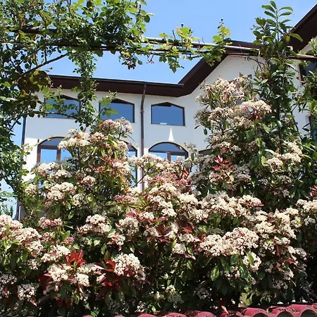 Pensiunea Vreau Un Dan 3* Костинешти