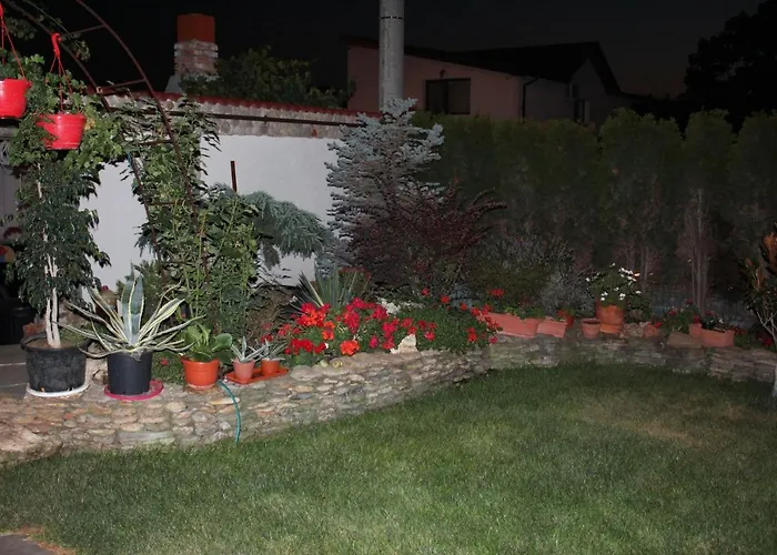 Pensiunea Vreau Un Dan 3* Костинешти