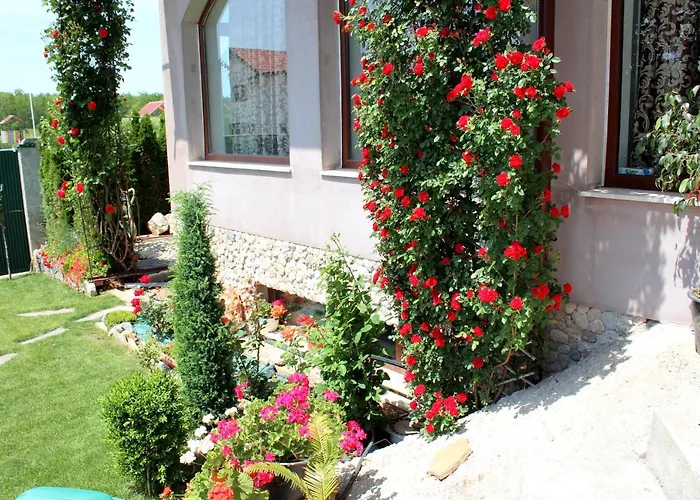 Pensiunea Vreau Un Dan 3*