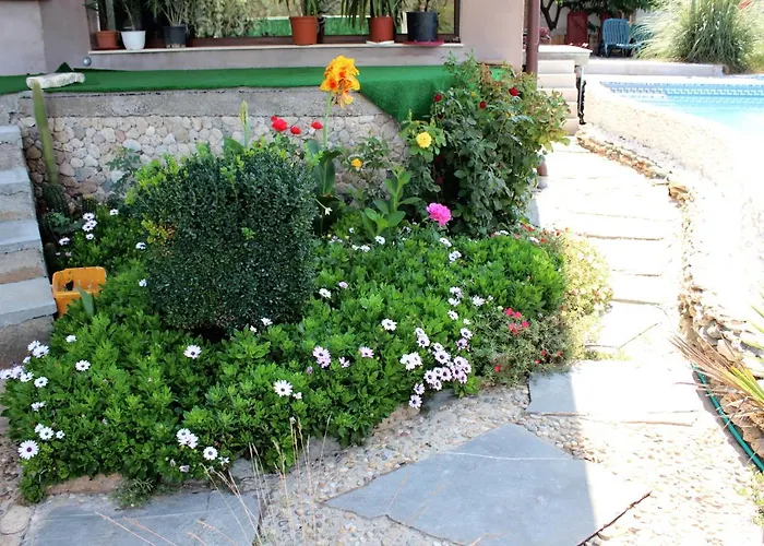 Pensiunea Vreau Un Dan 3*