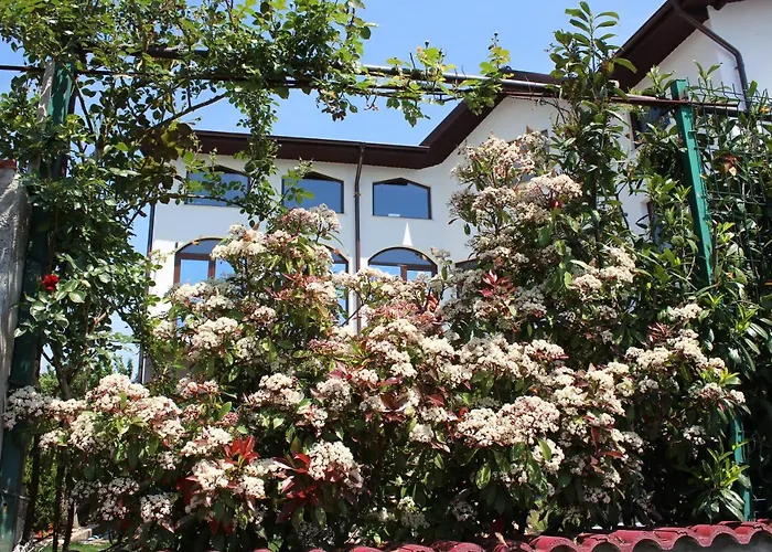 Pensiunea Vreau Un Dan 3* Costinesti